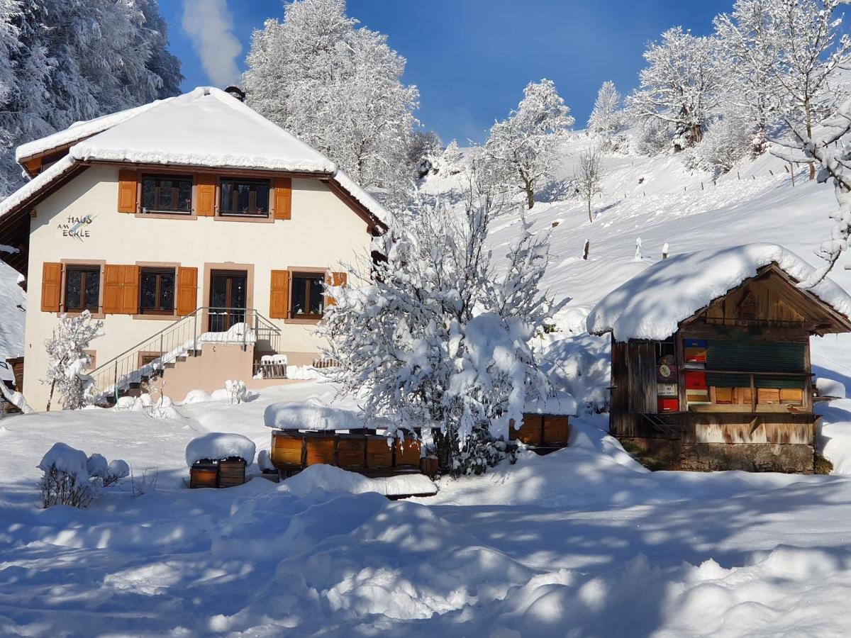 Ferienwohnung Haus am Eckle Kleines Wiesental Exterior foto